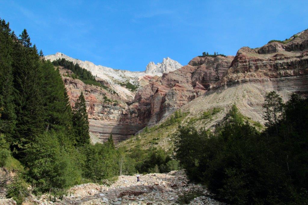 Orbettino alto-atesino